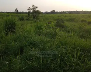 Acre 2500 Za Pamoja Zinauzwa Mbwewe Pwani Mashamba Bora Kabi