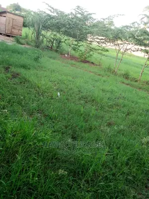Acre 2500 Za Pamoja Zinauzwa Mbwewe Pwani Mashamba Bora Kabi