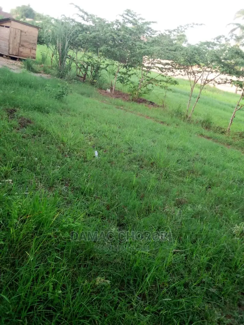Acre 2500 Za Pamoja Zinauzwa Mbwewe Pwani Mashamba Bora Kabi