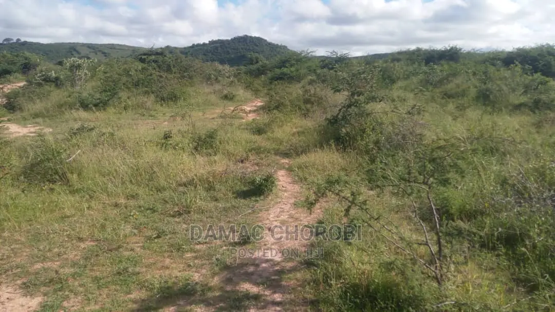 Acre 2500 Za Pamoja Zinauzwa Mbwewe Pwani Mashamba Bora Kabi