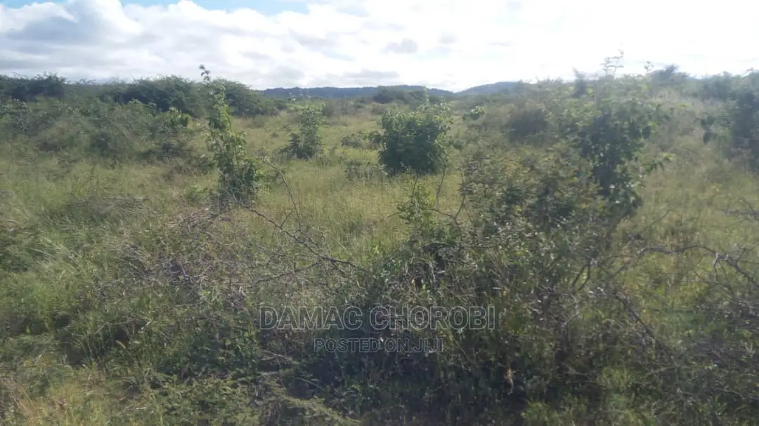 Acre 2500 Za Pamoja Zinauzwa Mbwewe Pwani Mashamba Bora Kabi