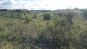 Acre 2500 Za Pamoja Zinauzwa Mbwewe Pwani Mashamba Bora Kabi