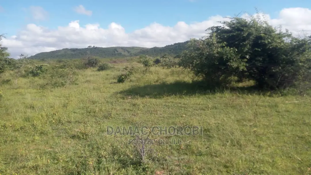 Acre 2500 Za Pamoja Zinauzwa Mbwewe Pwani Mashamba Bora Kabi