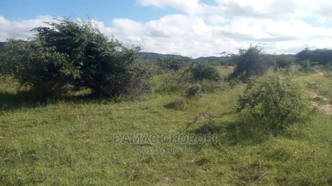 Acre 2500 Za Pamoja Zinauzwa Mbwewe Pwani Mashamba Bora Kabi