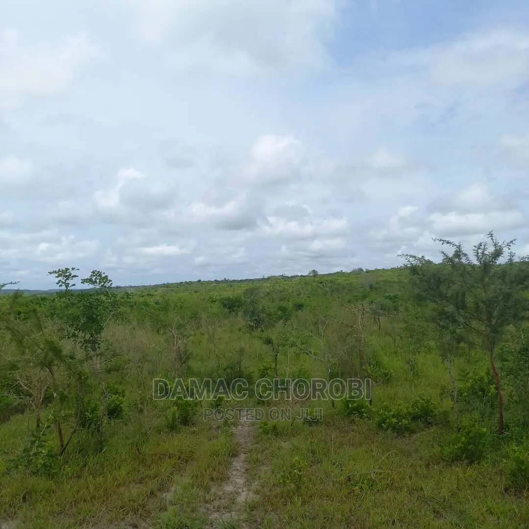 Acre 2500 Za Pamoja Zinauzwa Mbwewe Pwani Mashamba Bora Kabi