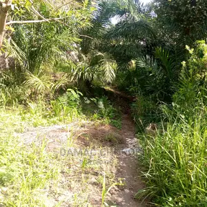 Acre 11000 Rufiji Pwani Linauzwa