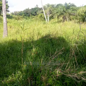 Mashamba Bora Kwa Kilimo Makazi Na Kufuga