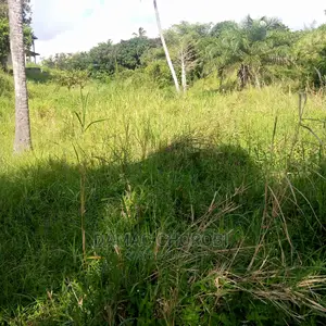 Mashamba Bora Kwa Kilimo Makazi Na Kufuga