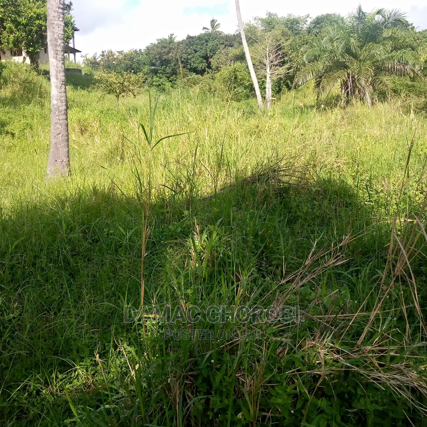 Shamba Linauzwa Rufiji Acre 11000
