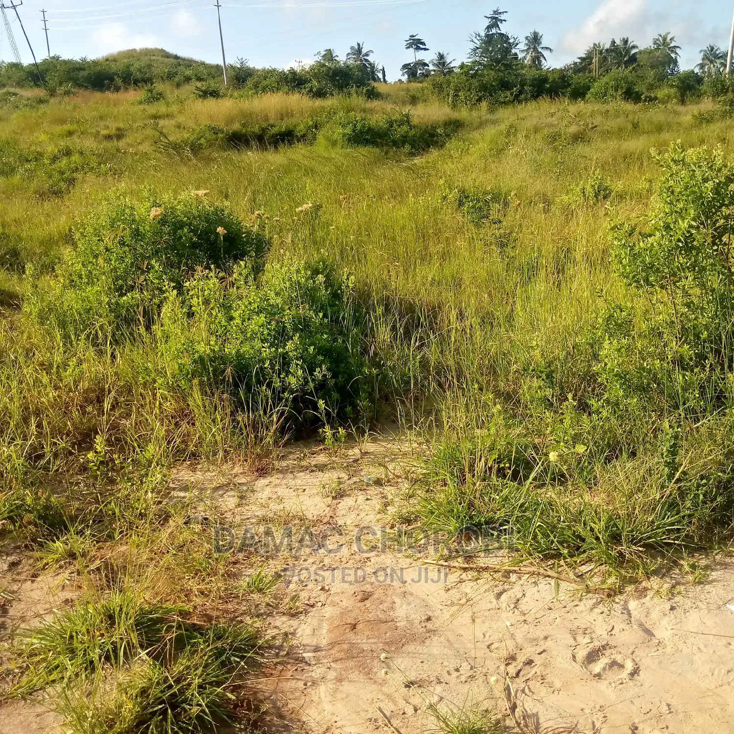Shamba Kubwa Acre 26000 Zinauzwa Mikumi Morogoro