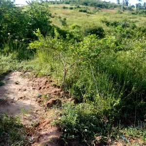 Shamba Kubwa Acre 26000 Zinauzwa Mikumi Morogoro