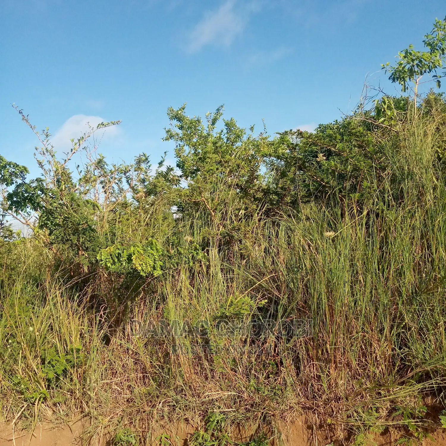 Shamba Kubwa Acre 26000 Zinauzwa Mikumi Morogoro