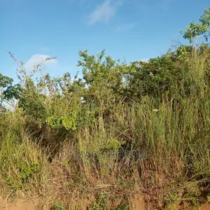 Shamba Kubwa Acre 26000 Zinauzwa Mikumi Morogoro
