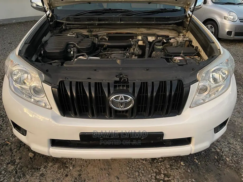 Toyota Land Cruiser 2011 Pearl