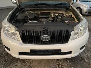Toyota Land Cruiser 2011 Pearl