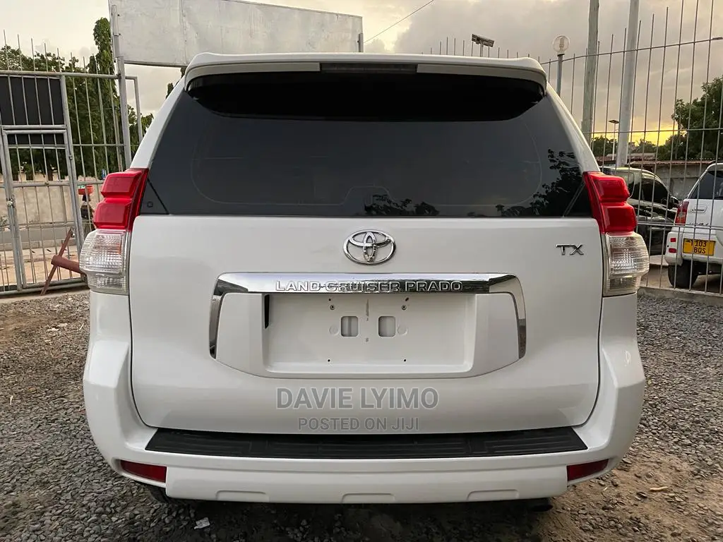 Toyota Land Cruiser 2011 Pearl