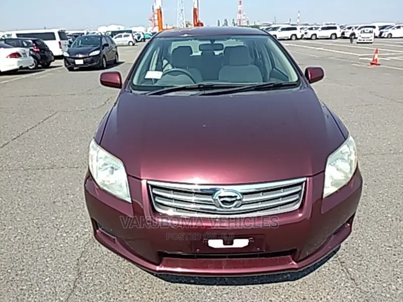 Toyota Axio 2009 Burgandy
