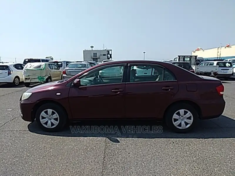 Toyota Axio 2009 Burgandy