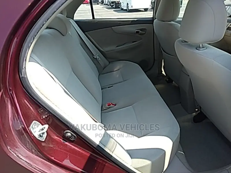 Toyota Axio 2009 Burgandy