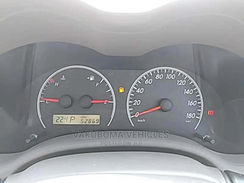 Toyota Axio 2009 Burgandy