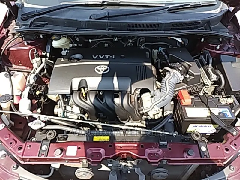 Toyota Axio 2009 Burgandy