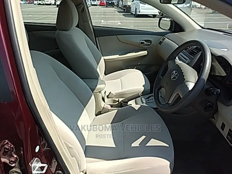 Toyota Axio 2009 Burgandy