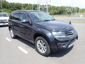 Suzuki Escudo 2013 Gray