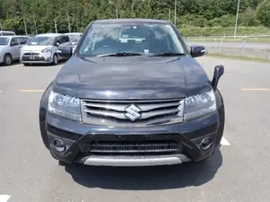 Suzuki Escudo 2013 Gray