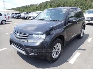 Suzuki Escudo 2013 Gray