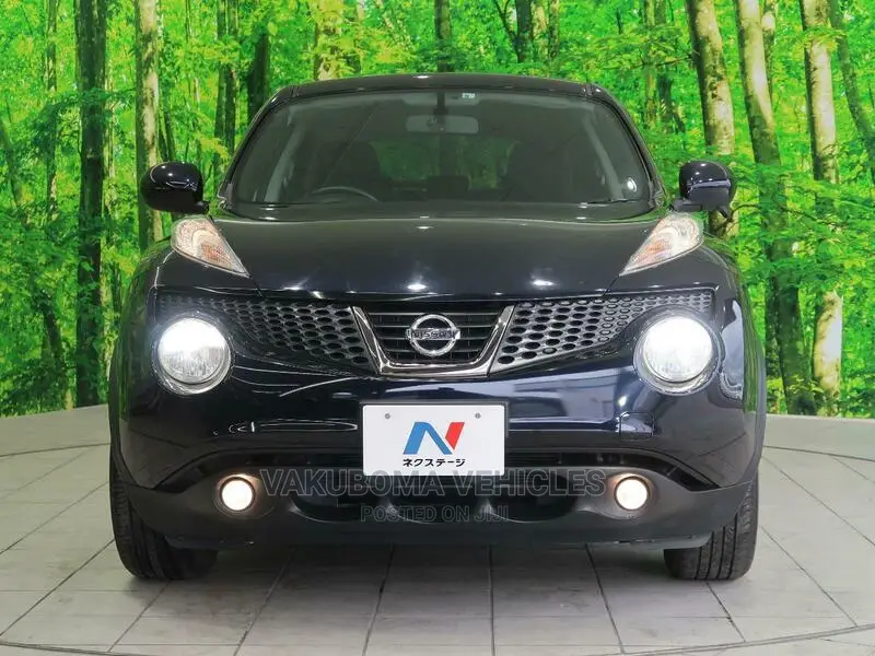 Nissan Juke 2014 Black