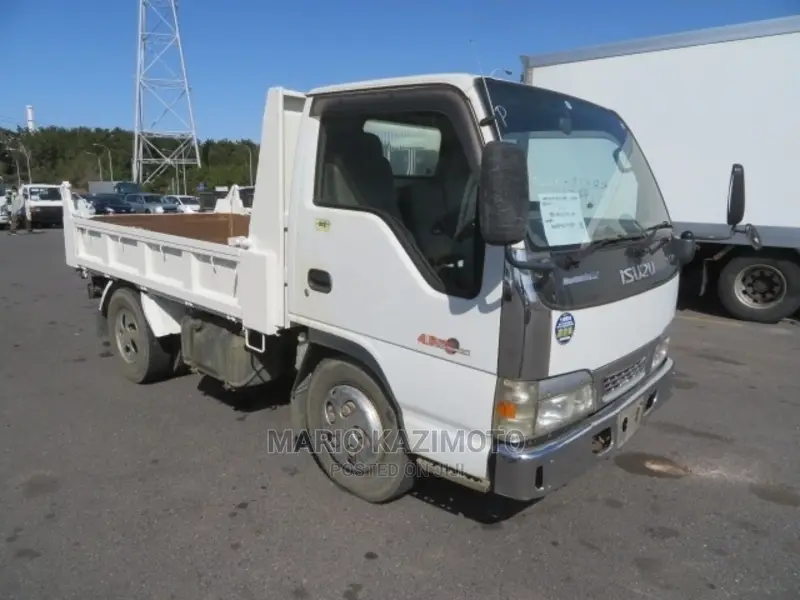 Isuzu Truck 2003