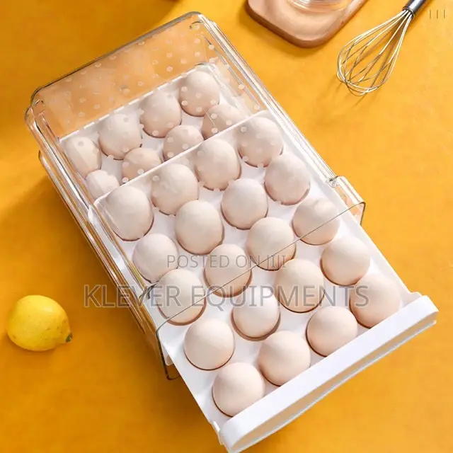 40eggs Storage Containers