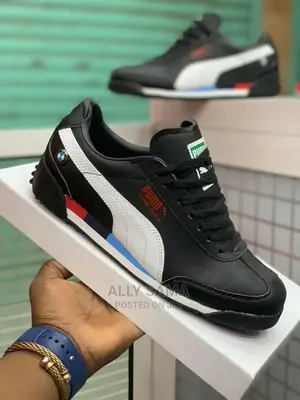 Puma Brand