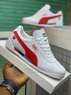 Puma Brand
