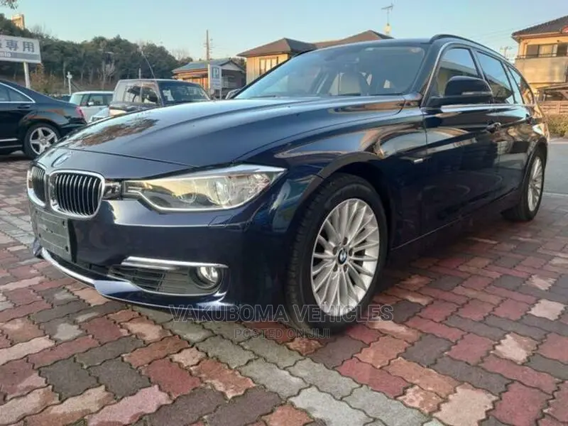 BMW 3 Series 2013 Blue