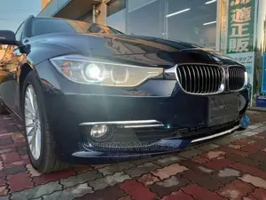 BMW 3 Series 2013 Blue