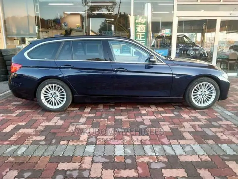 BMW 3 Series 2013 Blue