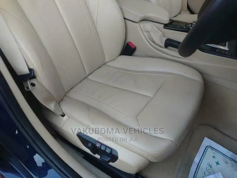BMW 3 Series 2013 Blue