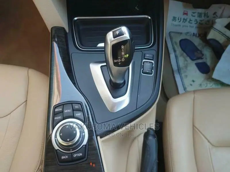 BMW 3 Series 2013 Blue