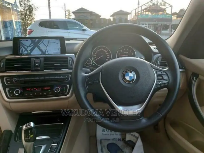 BMW 3 Series 2013 Blue