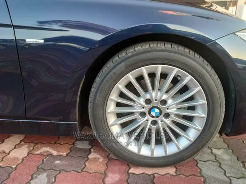 BMW 3 Series 2013 Blue