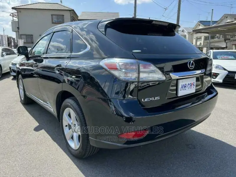 Lexus RX 350 2010 Black