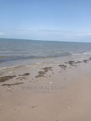 Incredible Beach Plot at Mkwaja