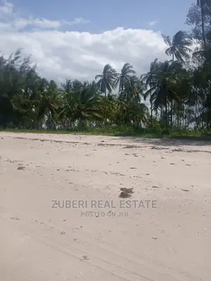 Incredible Beach Plot at Mkwaja