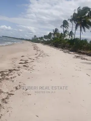 Incredible Beach Plot at Mkwaja