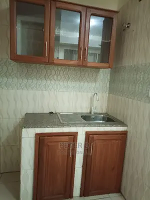 1bdrm Apartment in Sinza for Rent