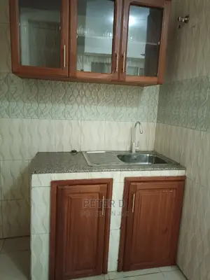 1bdrm Apartment in Sinza for Rent