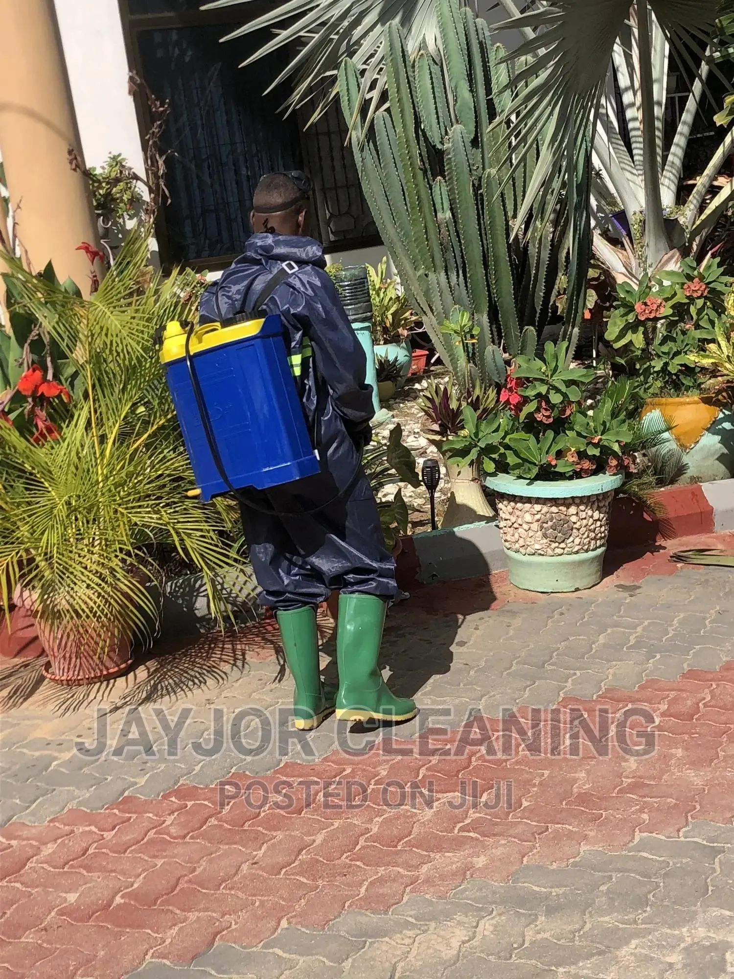 Fumigation Cleaning Services