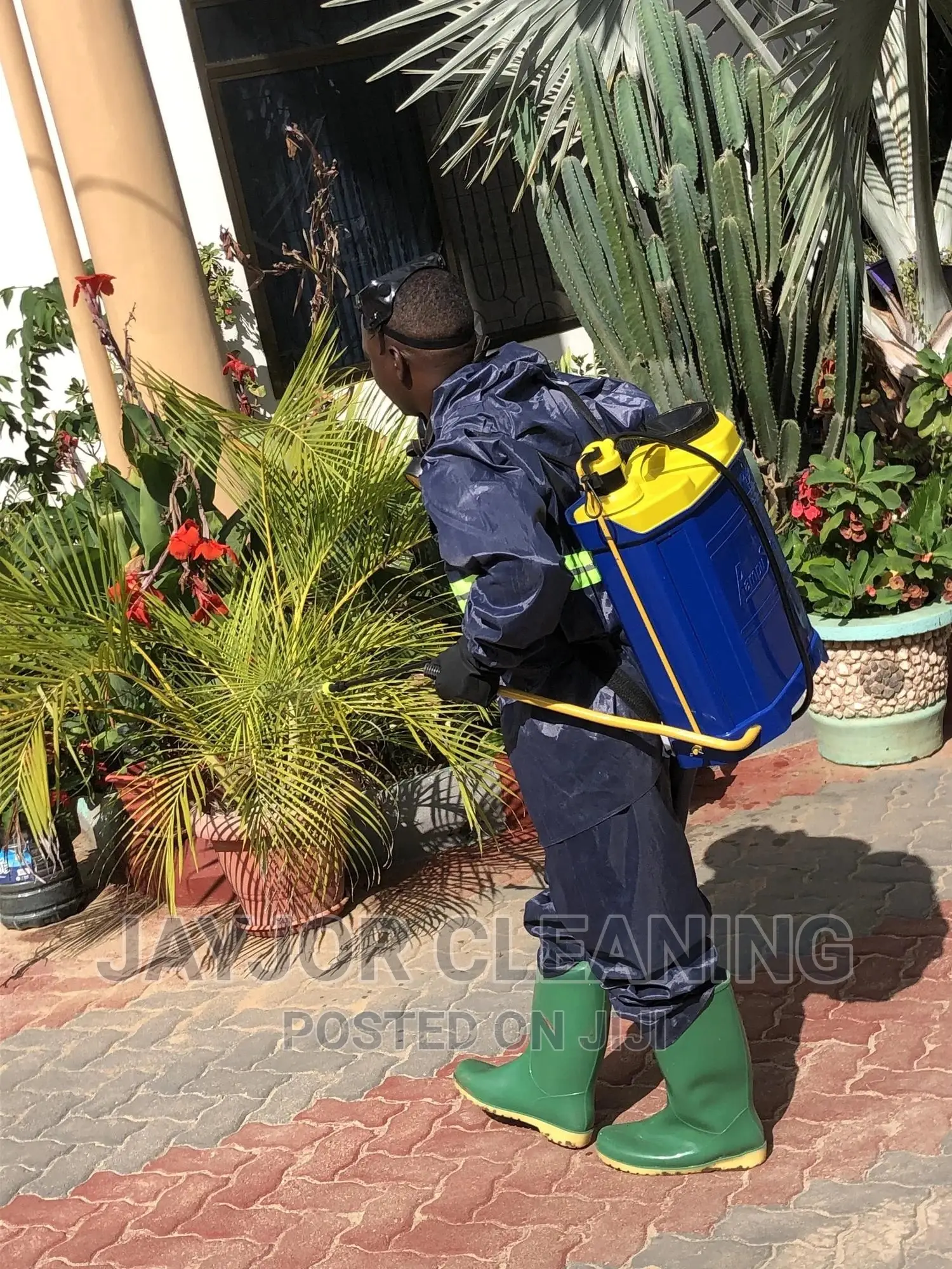 Fumigation Cleaning Services