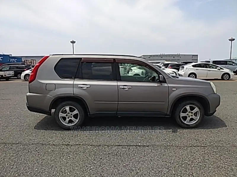 Nissan X-Trail 2007 Gray